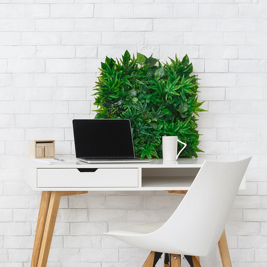 Minimalistic style. Modern workplace with laptop and flowerbox, empty space